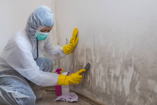 Best Mold Testing  in Scenic, AZ